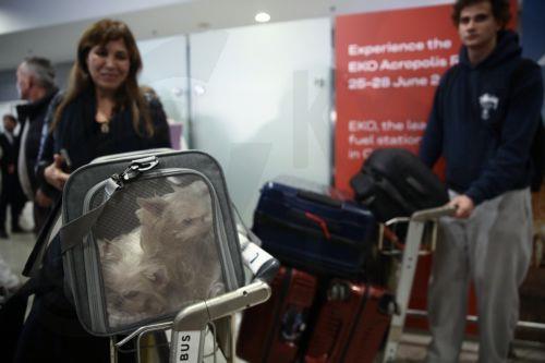 epa12831000 A Greek citizen arrives with her dogs after being repatriated on a flight from Abu Dhabi organized by the Greek Ministry of Foreign Affairs at Eleftherios Venizelos Airport in Athens, Greece, 18 March 2026. About 100 Greek nationals were repatriated under the Greek Ministry of Foreign Affairs' special 'Kivotos' operation, which includes the...