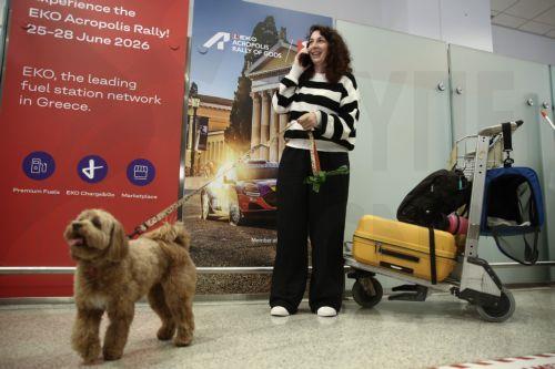 epa12831001 A Greek citizen arrives with her dog after being repatriated on a flight from Abu Dhabi organized by the Greek Ministry of Foreign Affairs at Eleftherios Venizelos Airport in Athens, Greece, 18 March 2026. About 100 Greek nationals were repatriated under the Greek Ministry of Foreign Affairs' special 'Kivotos' operation, which includes the...