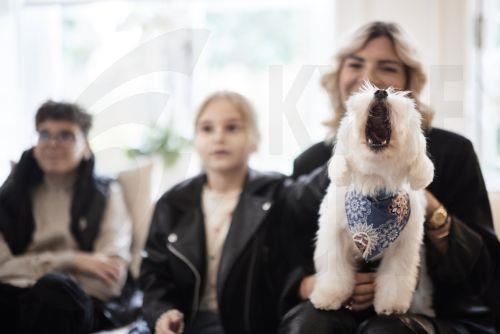 (Ξένη Δημοσίευση) Έλληνες πολίτες που επαναπατρίστηκαν από τη Μέση Ανατολή μαζί με τα ζώα συντροφιάς τους, μέσω της ειδικής πτήσης που οργάνωσε το Υπουργείο Εξωτερικών σε συνεργασία με την Aegean, υποδέχτηκε σήμερα ο Πρωθυπουργός Κυριάκος Μητσοτάκης στο Μέγαρο Μαξίμου. Σάββατο 21 Μαρτίου 2026. Ο Πρωθυπουργός είχε την ευκαιρία να συνομιλήσει με τους...