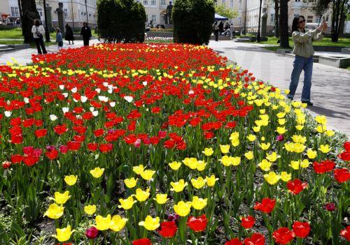 epa12879888 Tulips bloom in downtown Bishkek, Kyrgyzstan, 10 April 2026.  EPA/IGOR KOVALENKO