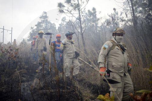 epa12901516 Members of the Honduran Fire Service walk through the area affected by a forest fire in the village of La Montanita, east of Tegucigalpa, Honduras, 19 April 2026.  EPA/Gustavo Amador