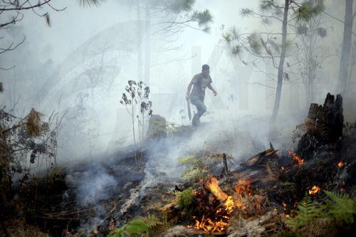 epaselect epa12901515 A person walks through an area affected by a forest fire in the village of La Montanita, east of Tegucigalpa, Honduras, 19 April 2026.  EPA/Gustavo Amador