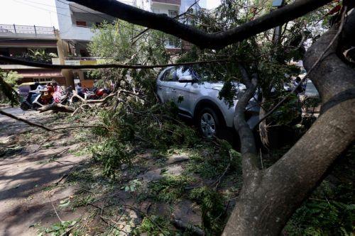 epa12923718 A vehicle under trees uprooted and broken branches following heavy overnight rain in Bangalore, India, 30 April 2026. The city was affected by over 111.5 mm of rainfall and strong winds on 29 April. More than 170 trees were uprooted, and many branches were broken due to lightning and thunderstorms. At least 10 people lost their lives in...