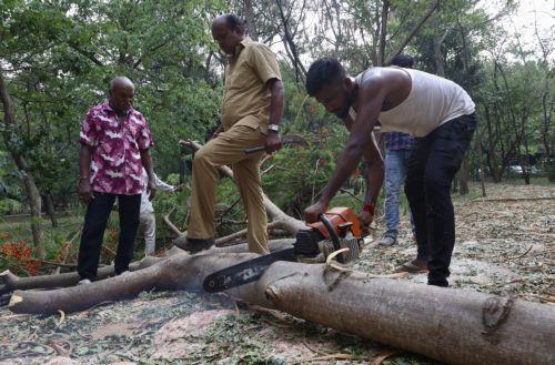 epa12923719 Members of the Greater Bangalore Authority (GBA) cut uprooted trees and broken branches
following heavy overnight rain in Bangalore, India, 30 April 2026. The city was affected by over 111.5 mm of rainfall and strong winds on 29 April. More than 170 trees were uprooted, and many branches were broken due to lightning and thunderstorms. At least...
