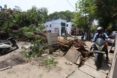 epa12923723 A motorcyclist passes by uprooted trees and broken branches following heavy overnight rain in Bangalore, India, 30 April 2026. The city was affected by over 111.5 mm of rainfall and strong winds on 29 April. More than 170 trees were uprooted, and many branches were broken due to lightning and thunderstorms. At least 10 people lost their lives in...
