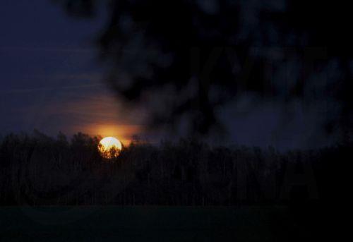 epa12927335 The full Moon rises in Sabile, Latvia, 01 May 2026.  EPA/Toms Kalnins