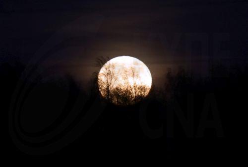 epa12927337 The full Moon rises in Sabile, Latvia, 01 May 2026.  EPA/Toms Kalnins