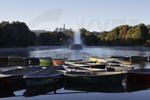 epa12929326 The autumn sun rises over rowing boats on Zoo Lake in Johannesburg, South Africa, 03 May 2026. The lake is a popular area for walkers, runners, and weekend picnics.  EPA/Kim Ludbrook