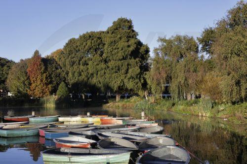 epa12929330 The autumn sun rises over rowing boats on Zoo Lake in Johannesburg, South Africa, 03 May 2026. The lake is a popular area for walkers, runners, and weekend picnics.  EPA/Kim Ludbrook