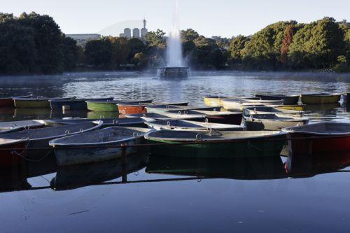 epa12929332 The autumn sun rises over rowing boats on Zoo Lake in Johannesburg, South Africa, 03 May 2026. The lake is a popular area for walkers, runners, and weekend picnics.  EPA/Kim Ludbrook