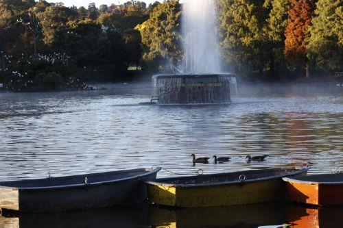 epa12929334 The autumn sun rises over rowing boats on Zoo Lake in Johannesburg, South Africa, 03 May 2026. The lake is a popular area for walkers, runners, and weekend picnics.  EPA/Kim Ludbrook