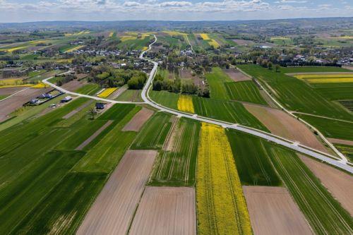 epa12929360 A view of rapeseed fields in bloom near Zuklin, southeastern Poland, 02 May 2026 (issued 03 May 2026).  Poland is one of top EU producers of rapeseed for high-quality edible oils and sustainable biofuels.  EPA/DAREK DELMANOWICZ POLAND OUT