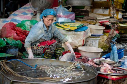 epa12969850 A woman sells fish at a market in Hanoi, Vietnam, 18 May 2026. Vietnam's economic growth is expected to slow to 6.8 percent in 2026, according to the World Bank’s forecast recently. Vietnam's gross domestic product (GDP) grew at 8.02 percent in 2025, according to data released by the General Statistics Office.  EPA/LUONG THAI LINH