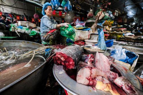 epa12969859 A woman sells fish at a market in Hanoi, Vietnam, 18 May 2026. Vietnam's economic growth is expected to slow to 6.8 percent in 2026, according to the World Bank’s forecast recently. Vietnam's gross domestic product (GDP) grew at 8.02 percent in 2025, according to data released by the General Statistics Office.  EPA/LUONG THAI LINH