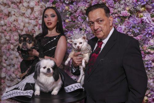 epa12972612 Dogs and human models participate in the 'Pet Gala' in New York, New York, USA, 18 May 2026. During the event, canines are dressed in custom-made recreations of couture outfits worn by celebrities to the 2026 Met Gala.  EPA/SARAH YENESEL