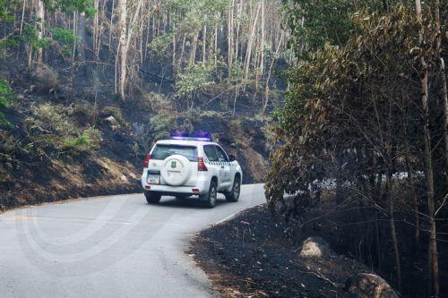 epa13036103 Environmental officials cross a burned area after a fire broke out near the town of Padron, Galicia, northwestern Spain, 14 June 2026.  EPA/XOAN REY