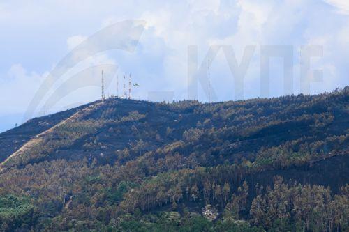 epa13036106 A view of a burned area after a forest fire broke out near the town of Padron, Galicia, northwestern Spain, 14 June 2026.  EPA/XOAN REY