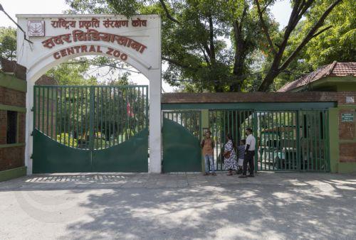 epa13060612 People stand outside the closed Central Zoo after it was shut indefinitely following a bird flu outbreak among its birds in Lalitpur, Nepal, 24 June 2026. Multiple poultry farms across all three districts of the Kathmandu Valley have been affected by the avian influenza A (H5N1) virus. Nepal's only central zoo was closed indefinitely after birds...