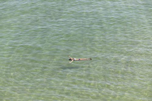 epa13060783 A woman swims at La Concha beach in San Sebastian, Basque Country, northern Spain, 24 June 2026. The temperature is forecast to reach up to 37 degrees Celsius in the city during the day.  EPA/Javier Etxezarreta
