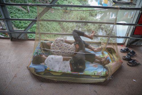epa13082133 Bangladeshi people sleep on the Sadarghat launch terminal premises on the Buriganga River using mosquito nets to protect themselves from mosquito bites in Dhaka, Bangladesh, 03 July 2026. According to health ministry data, Bangladesh had recorded 5,924 dengue cases and 18 deaths this year. Heavy rainfall, warm temperatures and high humidity have...