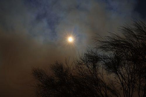 epa13129859 The smoke from a wildfire rises over the skyline near Pelayos de la Presa municipality, Community of Madrid, Spain, 24 July 2026. Commanders of the operation against the forest fire affecting the southwest of the Autonomous Community of Madrid ordered the evacuation of the municipalities of Chapineria, Navas del Rey, and Colmenar del Arroyo on...