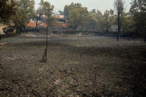epa13135622 A burnt farm at the village of Casavieja, Avila, Spain, 27 July 2026. In Avila's region, 15 villages have been evacuated due to the fire. Multiple fires in Spain have forced the evacuation of about 115,000 people from the affected villages.  EPA/RAUL SANCHIDRIAN