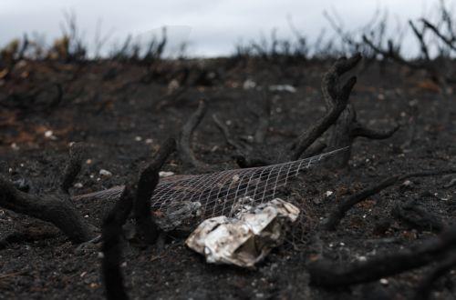 epa13135884 The remains of a disposable barbecue surrounded by wildfire damage in Halkyn, Britain, 27 July 2026. A drought was declared by Natural Resources Wales in North Wales and the Upper Severn on 23 July after a prolonged period of hot, dry weather.  EPA/ADAM VAUGHAN