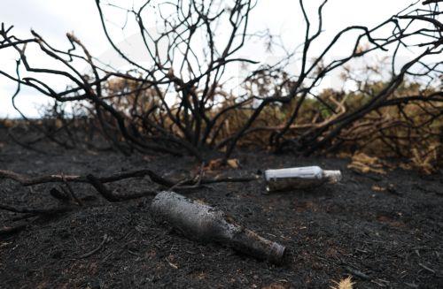 epa13135885 Glass bottles amongst wildfire damage in Halkyn, Britain, 27 July 2026. A drought was declared by Natural Resources Wales in North Wales and the Upper Severn on 23 July after a prolonged period of hot, dry weather.  EPA/ADAM VAUGHAN