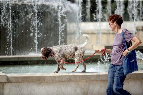 epa13143863 A person keeps a dog on a leash at a fountain on a hot summer day in Milan, Italy, 31 July 2026. The Italian Ministry of Health issued a 'red-dot' heatwave alert for 19 cities starting 01 August. By 02 August, the number of cities under red alert is expected to increase to 23 out of the 27 being monitored.  EPA/MOURAD BALTI TOUATI