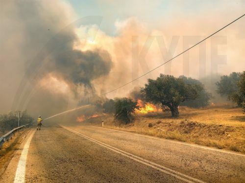 epa13144140 A firefighter battles a wildfire in the Fichtia area of Argolida in the Peloponnese region, Greece, 31 July 2026. Residents were ordered to evacuate toward Argos as 42 firefighters, including two teams from the 9th Special Forest Operations Unit (EMODE), 12 vehicles, four aircraft, and one helicopter battled the blaze with support from municipal...