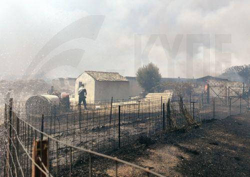 epa13144146 Volunteers battle a wildfire in the Fichtia area of Argolida in the Peloponnese region, Greece, 31 July 2026. Residents were ordered to evacuate toward Argos as 42 firefighters, including two teams from the 9th Special Forest Operations Unit (EMODE), 12 vehicles, four aircraft, and one helicopter battled the blaze with support from municipal...