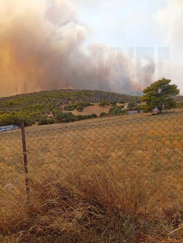 (ΞΕΝΗ ΔΗΜΟΣΙΕΥΣΗ)  Στις πυρόπληκτες περιοχές της Δυτικής Αττικής βρέθηκε σήμερα, Δευτέρα 3 Αυγούστου 2026, κλιμάκιο του ΣΥΡΙΖΑ-ΠΣ, προκειμένου να στηρίξει έμπρακτα το έργο των πυροσβεστών και των εθελοντών που επιχειρούν στα πύρινα μέτωπα. Το κλιμάκιο παρέδωσε περίπου 1.500 μπουκάλια νερό, καθώς και είδη πρώτης ανάγκης, στα κέντρα επιχειρήσεων πυρόσβεσης...