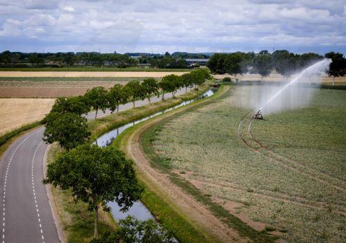 epa13155303 A field of onions is being irrigated in Dodewaard, Netherlands, 07 August 2026. Due to the heat and the prolonged lack of rainfall, arable farmers fear damage to the crops.  EPA/SEM VAN DER WAL