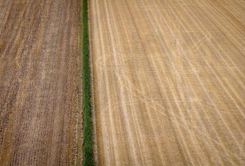 epa13155304 Bone-dry farmland in Dodewaard, Netherlands, 07 August 2026. Due to the heat and the prolonged lack of rainfall, arable farmers fear damage to the crops.  EPA/SEM VAN DER WAL