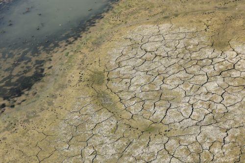 epa13166390 View of cracked ground along the Rhine River with low water levels in Cologne, Germany, 13 August 2026. The Rhine River's discharge has dropped to historic lows at key measuring points due to heatwaves and severe drought.  EPA/CHRISTOPHER NEUNDORF