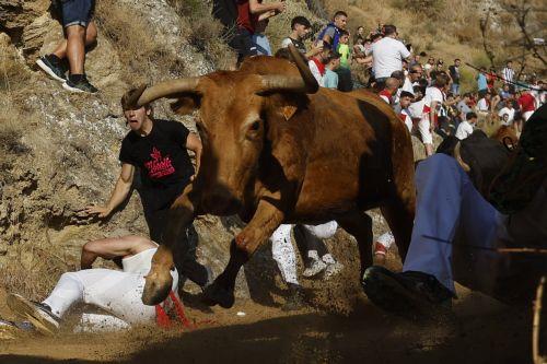 epa13175340 'Mozos,' or runners, take part in the traditional running of the bulls in Falces, Navarra, Spain, 17 August 2026.  EPA/JESUS DIGES