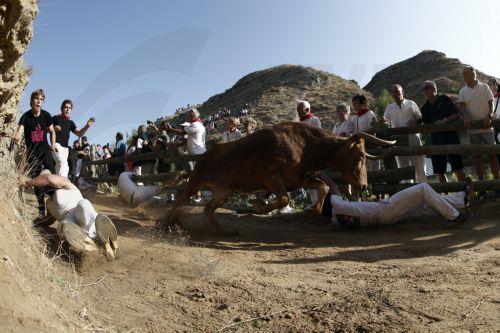 epa13175341 'Mozos,' or runners, take part in the traditional running of the bulls in Falces, Navarra, Spain, 17 August 2026.  EPA/JESUS DIGES