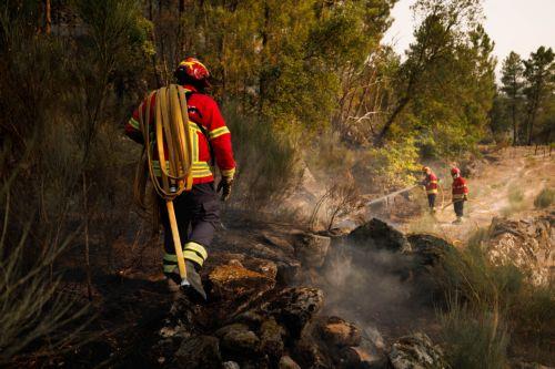 epa13176355 Firefighters fight the flames of a forest fire in Vilarinho da Castanheira, Portugal, 17 August 2026. The fire started in Torre de Moncorvo and spread to the municipality of Carrazeda de Ansiaes.  EPA/PEDRO SARMENTO COSTA