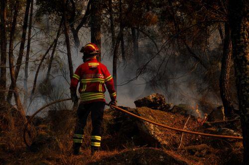 epa13176362 A firefighter fights the flames of a forest fire in Vilarinho da Castanheira, Portugal, 17 August 2026. The fire started in Torre de Moncorvo and spread to the municipality of Carrazeda de Ansiaes.  EPA/PEDRO SARMENTO COSTA