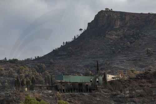 epa13186129 Burnt land is seen in the background in Gatova, Valencia, Spain, 23 August 2026. The fire, caused by lightning on 20 August in Segorbe, Castellon, has been stabilized, according to the Emergency Services.  EPA/MANUEL BRUQUE