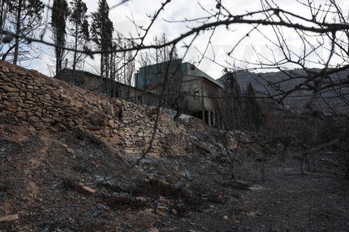 epa13186130 Burnt land is seen in the background in Gatova, Valencia, Spain, 23 August 2026. The fire, caused by lightning on 20 August in Segorbe, Castellon, has been stabilized, according to the Emergency Services.  EPA/MANUEL BRUQUE