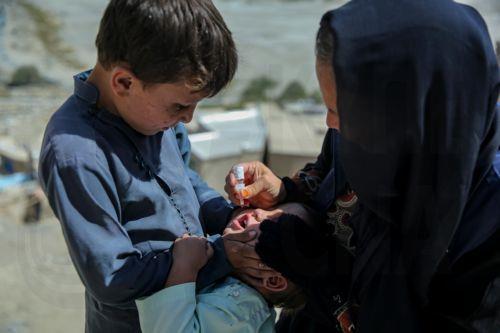 epa13254096 A health worker administers a polio vaccine to a child during a door-to-door vaccination campaign in Kabul, Afghanistan, 21 September 2026. Afghanistan has launched a polio vaccination campaign as part of synchronized immunization efforts with neighboring Pakistan to curb the spread of wild poliovirus. Afghanistan has reported 25 wild poliovirus...