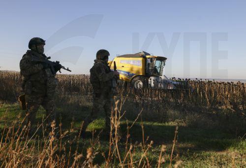 epa13277318 Ukrainian servicemen guard farmers from Russian drones as they harvest sunflowers near a frontline in the Zaporizhzhia region, Ukraine, 02 October 2026, amid the ongoing Russian invasion. The territory close to the frontline is extremely dangerous due to Russian FPV drones.  EPA/OLEG MOVCHANIUK