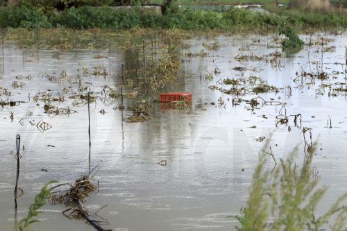 Πλημμυρισμένο χωράφι κατά τη διάρκεια αυτοψίας κυβερνητικού κλιμακίου στις πληγείσες περιοχές από την κακοκαιρία, στο Οροπέδιο Λασιθίου, Κρήτη Δευτέρα 5 Οκτωβρίου 2026. Σύσκεψη παρουσία κυβερνητικού κλιμακίου πραγματοποιήθηκε στο Ηράκλειο Κρήτης, με αντικείμενο την αποτίμηση των επιπτώσεων από τα έντονα καιρικά φαινόμενα των προηγούμενων ημερών, όπως και...