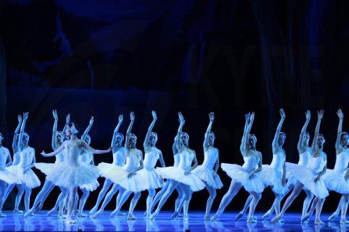 epa13283912 Dancers from the National Dance Company (CND) participate in the rehearsal of the ballet 'Swan Lake', at the National Auditorium in Mexico City, Mexico, 05 October 2026.  EPA/Mario Guzman