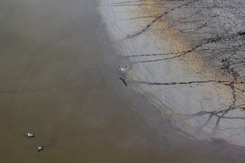 epa13289195 This picture, taken by a drone, birds inhabit the nearly dried out 30-hectare inner lake of the Tihany Peninsula on the northern shore of Balaton near Tihany, Hungary, 08 October 2026.  EPA/Tamas Vasvari HUNGARY OUT