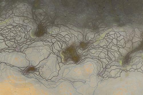 epa13289197 This picture, taken by a drone, shows the muddy bed of the nearly dried out 30-hectare inner lake of the Tihany Peninsula on the northern shore of Balaton near Tihany, Hungary, 08 October 2026.  EPA/Tamas Vasvari HUNGARY OUT