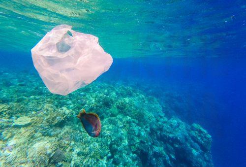 epa13339065 A plastic bag floats beside a coral reef in the Red Sea off Marsa Alam, Egypt, 29 October 2026. Egypt generates nearly 2.9 million metric tons of plastic waste annually, according to figures published in June 2026 by Nile University researchers involved in a study for the United Nations Industrial Development Organization (UNIDO), while the...