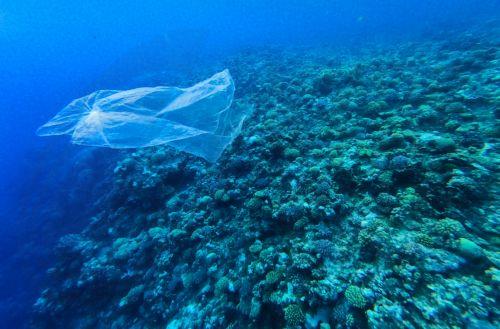 epa13339071 A plastic bag floats beside a coral reef in the Red Sea off Marsa Alam, Egypt, 29 October 2026. Egypt generates nearly 2.9 million metric tons of plastic waste annually, according to figures published in June 2026 by Nile University researchers involved in a study for the United Nations Industrial Development Organization (UNIDO), while the...
