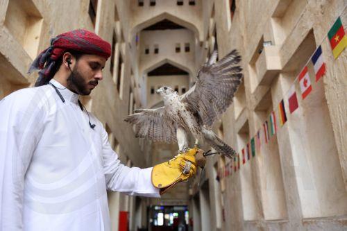 epa10348412 A Qatari falconer hold a Falcon at the Falcon market in Souq Waqif, an old marketplace in Doha, Qatar, 04 December 2022. The falcon is the national bird of Qatar and part of the culture of the Qatari people. The Falcon market in Souq Waqif offers special accessories and falcons sales and play as  one of the major tourists attractions of the...